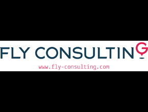 Fly-Consulting Robert Drohomirecki